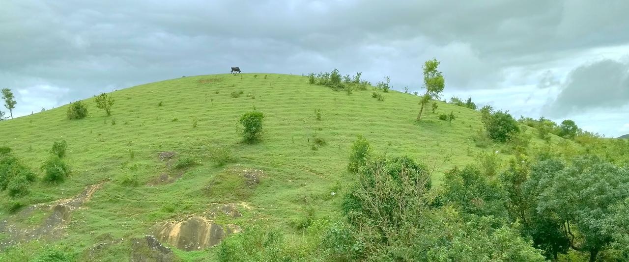 Vagamon Clouds Ξενοδοχείο Εξωτερικό φωτογραφία